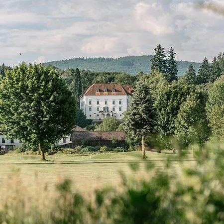 Schloss Ernegg 3* Steinakirchen Am Forst
