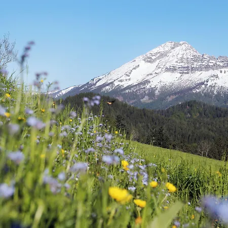 Schloss Ernegg Hotel 3*