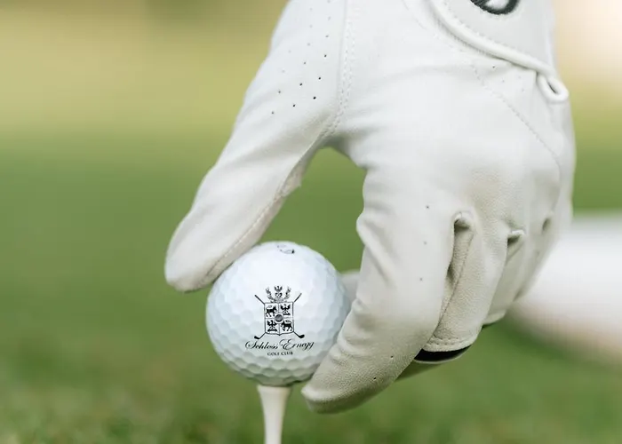 Hotel Schloss Ernegg Steinakirchen Am Forst