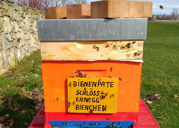 Hotel Schloss Ernegg