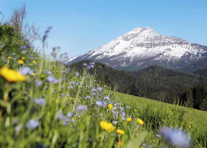 Schloss Ernegg Hotel 3*